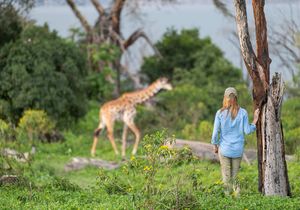 Giraffe Centre, Boat Ride - Lake Elementaita