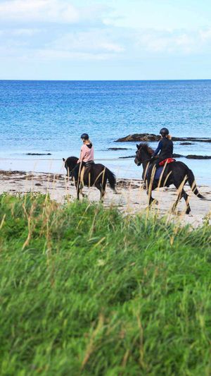 Лошади, океан и сауна на белом пляже