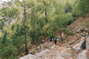 Алынджа - Узунйурт