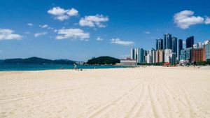 Путешествие в Пусан