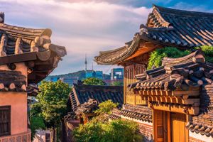 Полное погружение в культуру