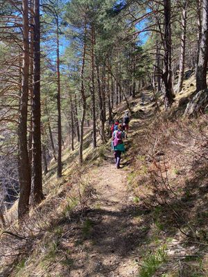 Трекинг к леднику. Высота над уровнем моря 2500м