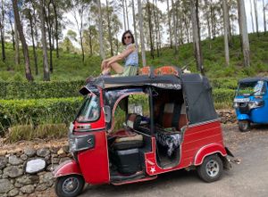 Новый год на Шри-Ланке