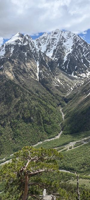 Знакомство с Цеем