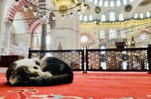 Знакомство Со Стамбулом