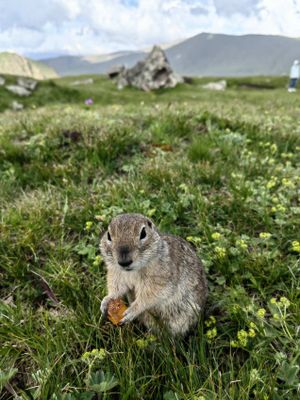 Ущелье Ирик