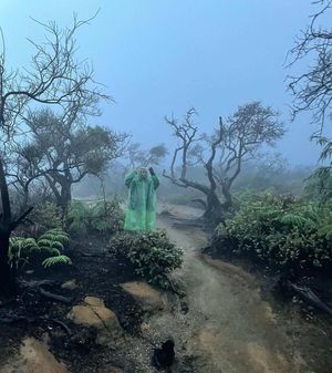 Подъем на вулкан Иджен