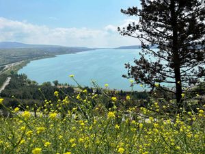 Нахвамдис, Грузия