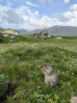 Знакомство с Приэльбрусьем