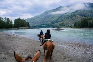 Встреча, Чемал, конная прогулка