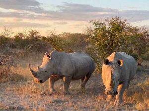 Соссусвлей, Мертвый лес, каньон Сесрием