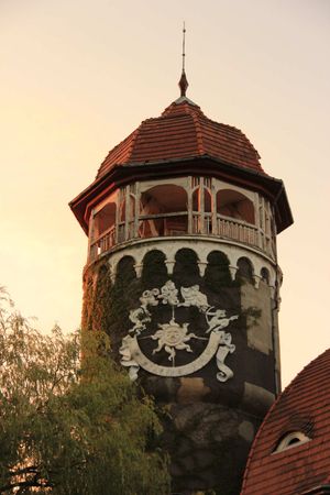 Зеленая тропа Янтарного побережья