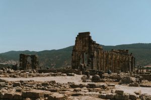 Дегустация Premier Cru вина