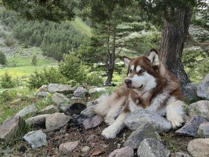 Водопад Баритовый и рафтинг