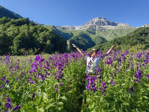 Архыз с комфортом в компании маламута