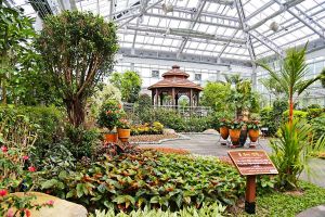 Парк птиц, возвращение в Сеул