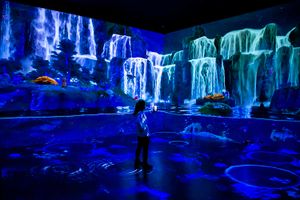 Токио. Свободный день