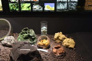 День в городе - посещение Вулканариума