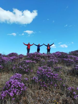 Переезд Гамова - Лукьяновка