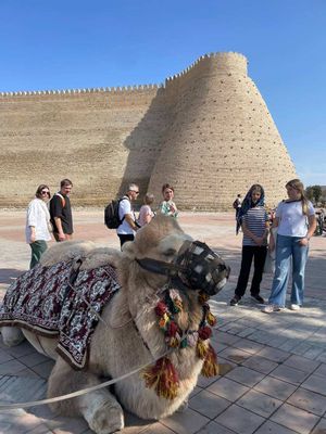 Очарование Бухары: знакомство с городом