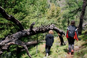 Трекинг до Куехтанарских озер