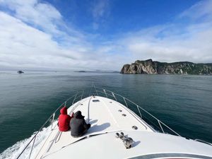 Свободный день