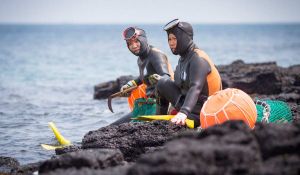 Экскурсия по Чеджу: Юго-Восточная часть. Сеул