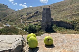 Дигорское ущелье
