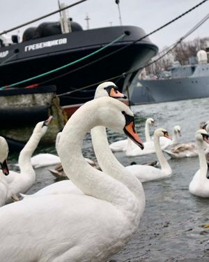 Необычный тур по Калининградской области