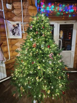 Переезд Горно-Алтайск ущелье Актру