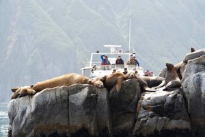 Бухта Русская