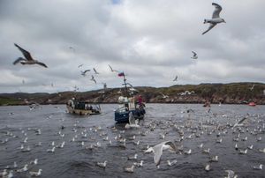 Прогулка на корабле в Баренцевом море