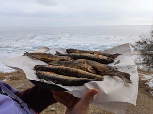 Сахюрта - падь Идибэ (переезд: 30 км, на хивусе)