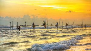 Шри-Ланка за 6 дней: от Коломбо до Сигирии (индивидуально)