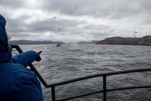 Прогулка на корабле в Баренцевом море