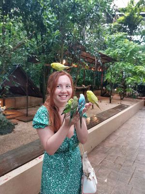 Водопад Дуриан. Парк дикой природы