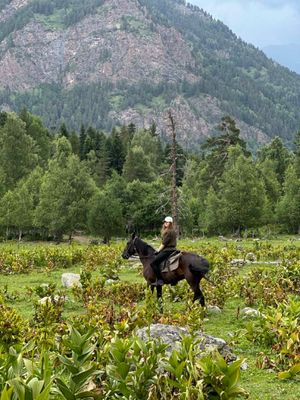 Легкая конная прогулка перед выездом