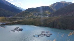 Алагирское ущелье Цей Мамисон