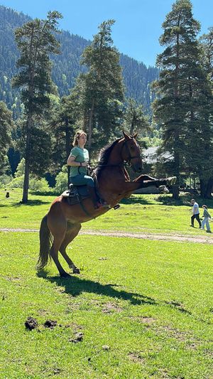 Легкая конная прогулка перед выездом