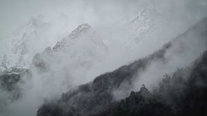 Адырсу/Адылсу/Возвращение домой