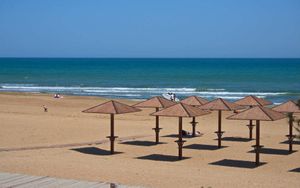 Свободный день. Трансфер в Аэропорт