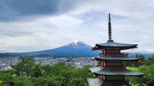 100 видов на гору Фудзи