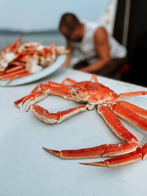 Крабовое сафари