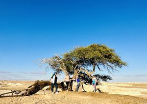 Из Пустыни К Нилу