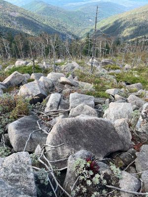 Переезд Гамова - Лукьяновка