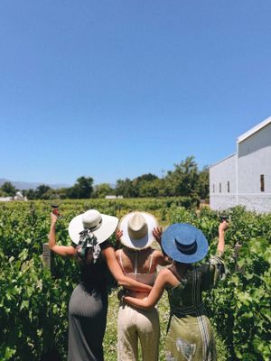 Стелленбош