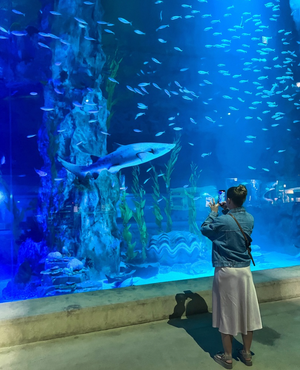Корейский Диснейленд, «Цирк дю Солей» и аквариум