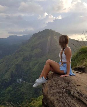 Поезд в Эллу, девятиарочный мост и малый пик Адама