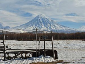 Этническая Камчатка, катание на собачих упряжках