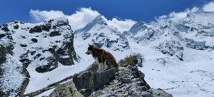 Ущелье Адылсу, озеро Башкара